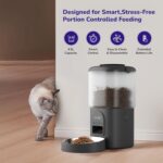 pet feeder 1