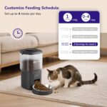 pet feeder 3