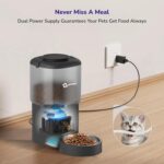 pet feeder5