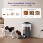 pet feeder6
