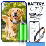 pet tracker 6