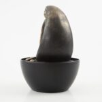 product image3 (h)